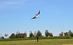 Venice kite festival_0110